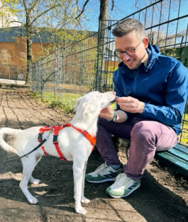 Queer Counselling, Patrick Diemling,